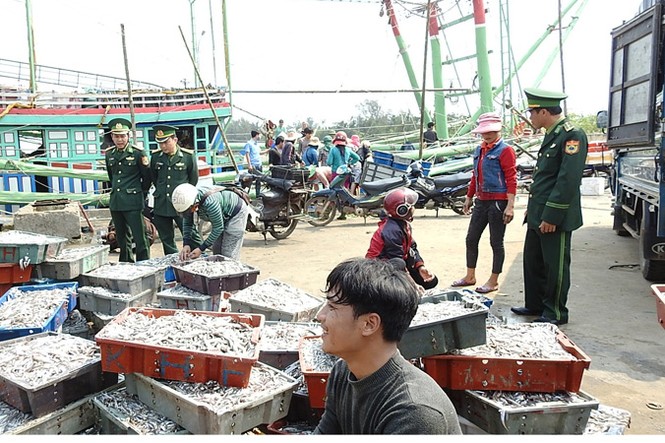 Kỳ thú chuyện biển của lão ngư - ảnh 1