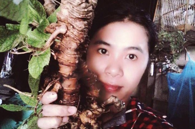 Cô gái bị 'ám' bởi sâm Ngọc Linh - ảnh 1