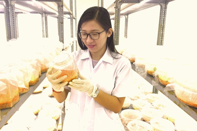 Ðường đi không trải thảm - ảnh 4