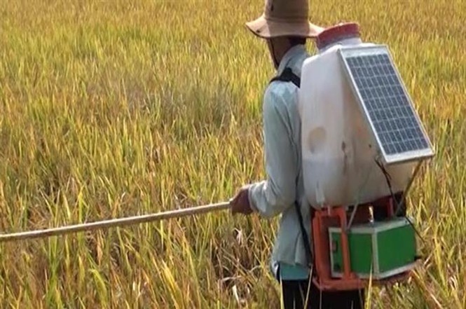 Những “Hai Lúa” trẻ khởi nghiệp - ảnh 1