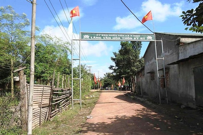 Tìm cây chữa thất tình - ảnh 2