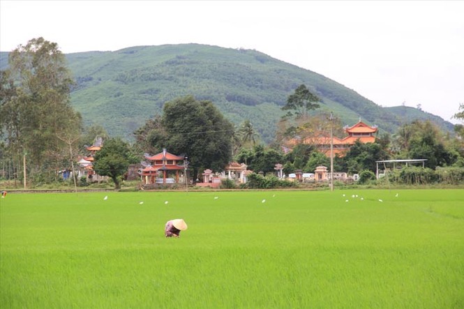 Từ thác trắng đến bãi biển đen - ảnh 2