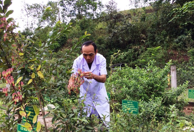 Chuyện bác sĩ Thiện ở A Vao - ảnh 1