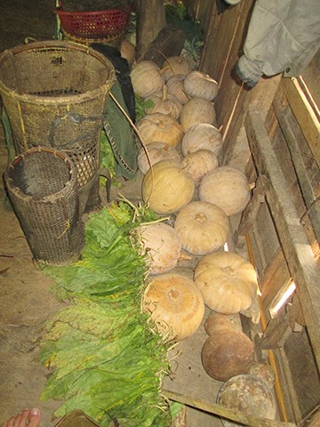 Ông Rôm người rừng - ảnh 2