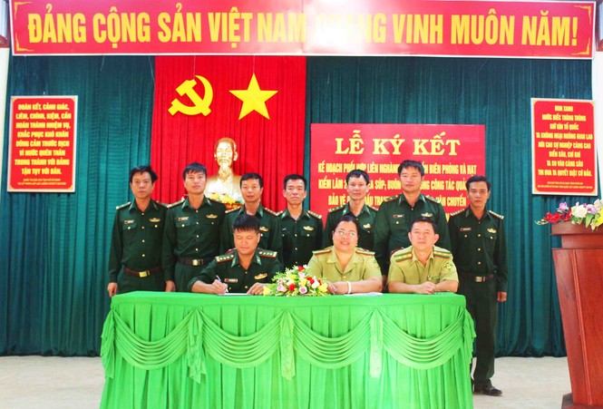 Tin mới vụ phá rừng, lấy gỗ quý trong vườn quốc gia Yok Đôn - ảnh 3