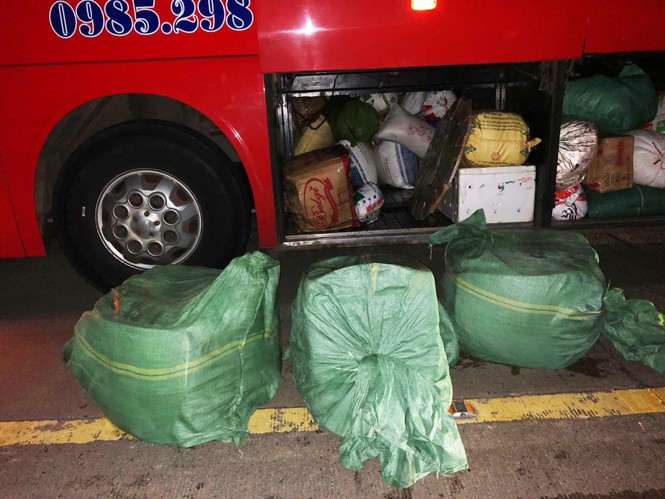 Bắt xe giường nằm chở hơn 300 kg thịt heo thối - ảnh 1
