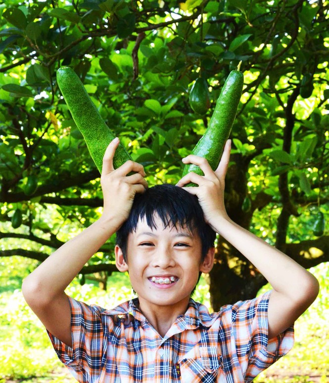 Độc đáo lễ hội “Mùa Bơ chín” - ảnh 3