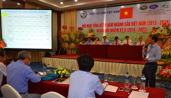 Ngành Sắn Việt Nam với mục tiêu 2 tỉ USD sau 5 năm tới - ảnh 3