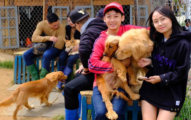 Kiếm tiền tỉ từ 'chó chiến', chó cưng - ảnh 8