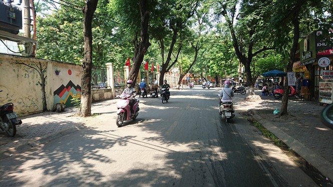 Ẩn hoạ từ những cây xanh chực đổ ở Hà Nội - ảnh 5