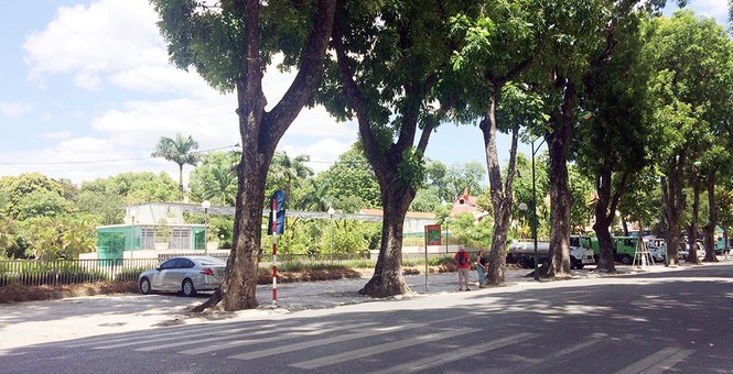 Nắng nóng đỉnh điểm, Hà Nội vắng tanh như... chùa Bà Đanh - ảnh 1