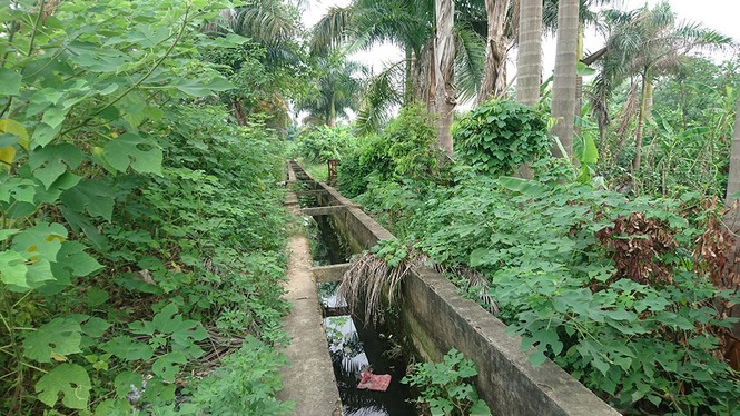 Ám ảnh tụ điểm tiêm chích ma túy tồn tại nhiều năm giữa Thủ đô - ảnh 2