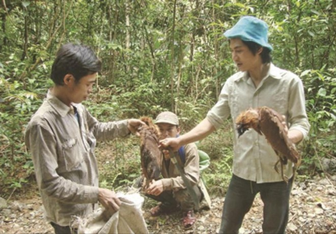Theo chân dân cội tìm trầm - ảnh 2