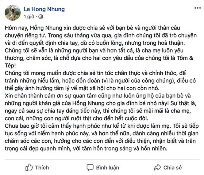 Hồng Nhung bất ngờ thông báo ly hôn chồng Tây - ảnh 1