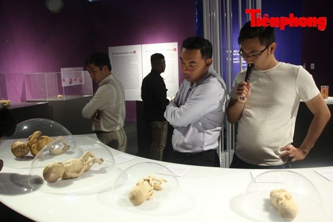 Showbiz 7/5:Thể hình 6 múi của búp bê nổi tiếng nhất hành tinh gây sốc - ảnh 8