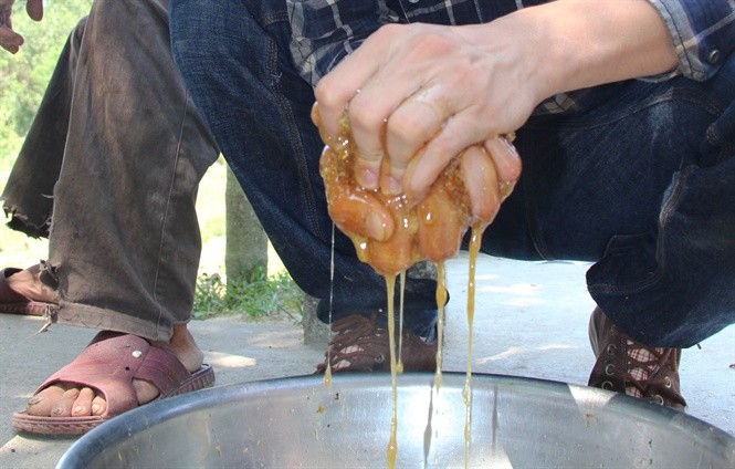 Cao thủ săn mật ong chốn rừng thiêng - ảnh 4