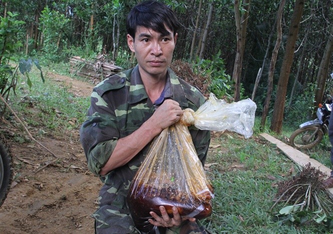 Cao thủ săn mật ong chốn rừng thiêng - ảnh 3