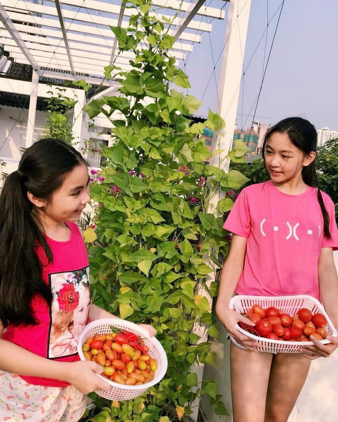 Con gái Quyền Linh xinh đẹp và sở hữu chiều cao khủng - ảnh 2