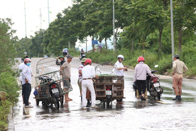 Kiếm bộn từ dịch vụ 'cõng' xe máy qua đường ngập ở Hà Nội - ảnh 9