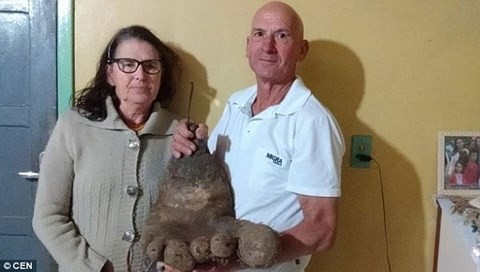 Lạ lùng củ khoai tây 8kg, y hệt bàn chân người khổng lồ - ảnh 2