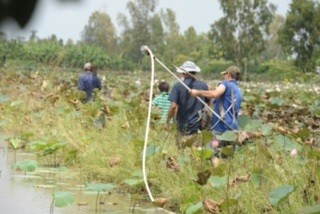 Thông thường đội quân đi săn chuột đồng thường từ 3-7 người như vậy sẽ không để xổng con nào từ hang chạy ra ngoài