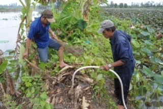 Theo kinh nghiệm người săn chuột, phải biết hang nào có chuột ở trong đó, lúc đó mới bơm nước vào chờ chuột chạy ra rồi bắt