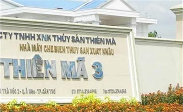 Tòng “Thiên Mã” bị xử về tội lừa đảo - ảnh 1