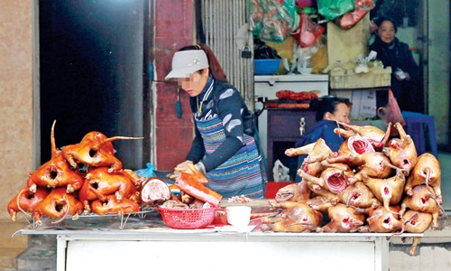 'Phố thịt chó' lụi tàn - ảnh 2