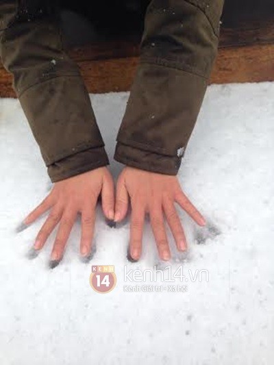 Lớp tuyết rơi khá dày