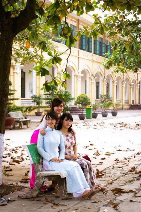 Chụp ảnh kỷ yếu tại địa điểm sân trường THPT Chu Văn An, Hà Nội
