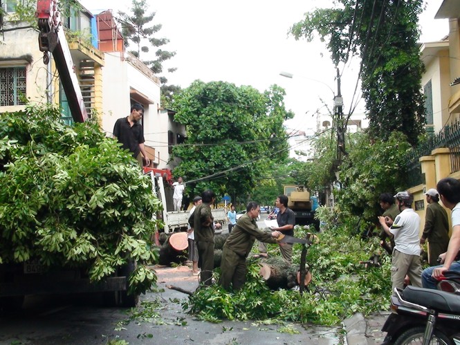 Trên phố Nguyễn Gia Thiều