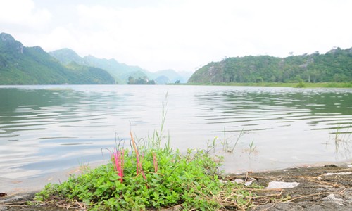 Khoảng 14h30, trong lúc vui chơi ở bờ hồ, một em học sinh đã bị trượt chân xuống khu vực nước sâu
