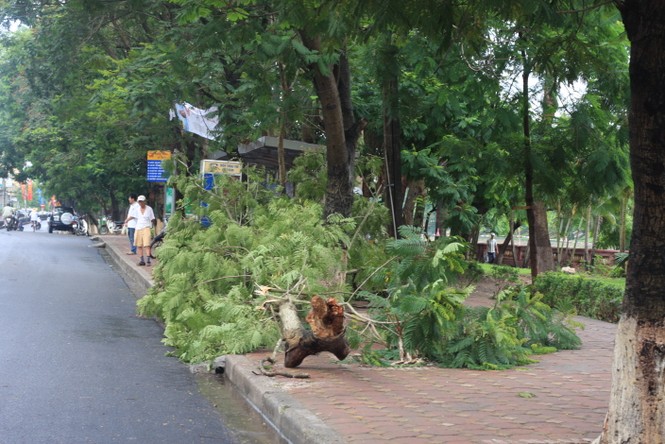 Trên phố Kim Mã