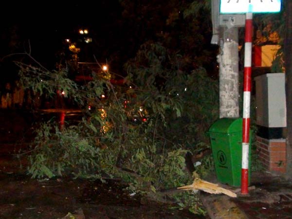 Cành cây gãy rơi trên Ngã tư phố Tràng Thi, Bà Triệu