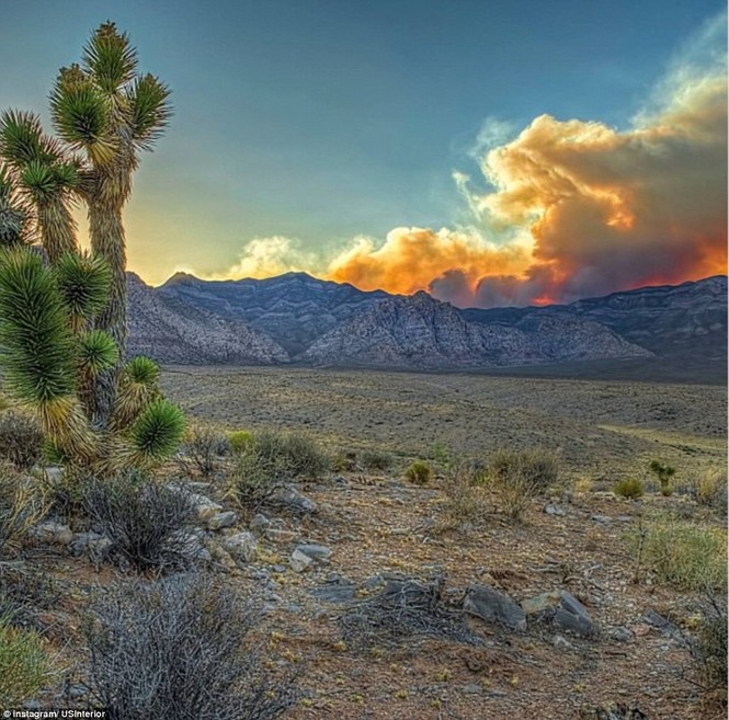 Khu bảo tồn quốc gia Red Rock (Nevada, Hoa Kỳ)