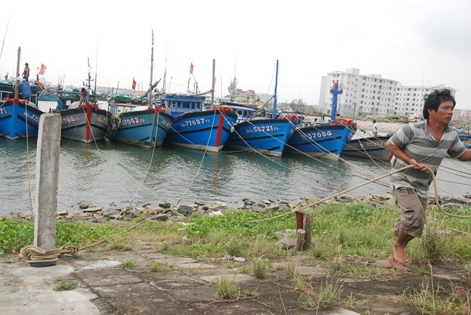 Ở khu vực Âu thuyền, hàng trăm ngư dân đang hối hả cột neo để cho tàu thuyền có thể trụ được với cơn bão lịch sử này