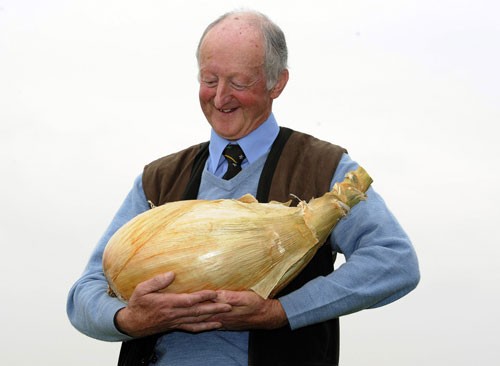 Ngày 16-9-2011, ông Pete Glaze bế củ hành nặng nhất thế giới (nặng 8,1 kg)
ở Harrogate, Anh.