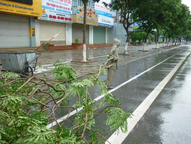 Công nhân dọn cây bị gãy đổ từ 5h sáng. Ảnh : Hoàng Tuân