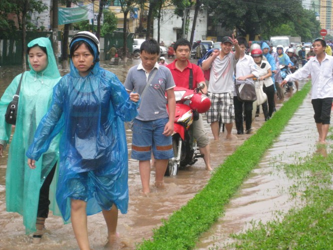 Như đi chạy lũ