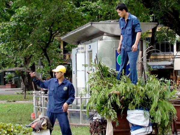 Công nhân đang dọn dẹp cành cây gãy rơi trên phố Quang Trung