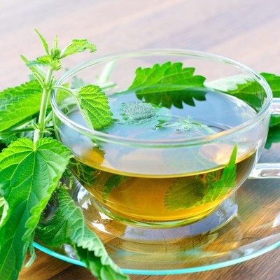 Lá tầm ma. Tầm ma, một loài cây mọc hoang dại ở châu Mỹ, có công dụng bất ngờ trong việc ngăn ngừa rụng tóc sớm ở cả nam và nữ. Nó chứa nhiều vitamin, ngăn cản nội tiết tố testosterone chuyển hóa thành dihydrotestosterone - một chất chủ yếu gây nên tình trạng rụng tóc