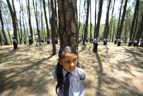 Ngày 5/6/2011 tại Kathmandu, 879 người Nepal cùng nhau ôm cây trong 3 phút
để lập kỷ lục thế giới mới. Sự kiện này được tổ chức trong ngày
Môi trường Thế giới để kêu gọi người dân bảo vệ môi trường.