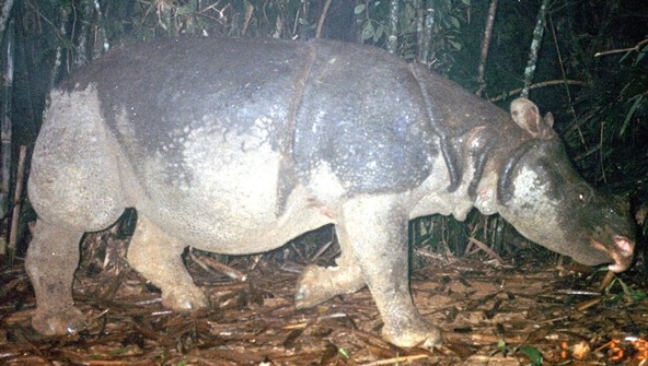 Những bức ảnh hiếm hoi