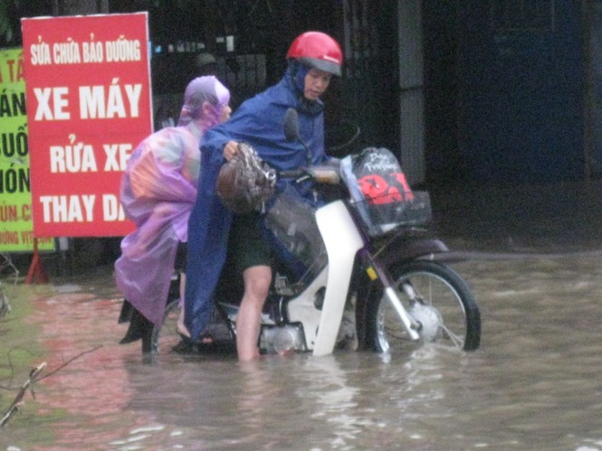 Chêt đứng giữa đường