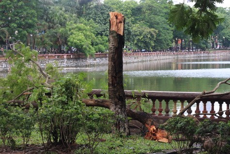 Tại công viên Thủ Lệ