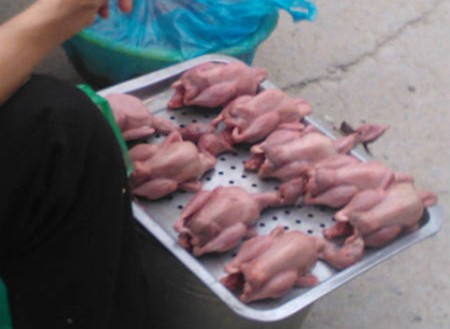 'Phù phép' vịt thải thành chim sẻ, cút thối thành bồ câu - ảnh 2