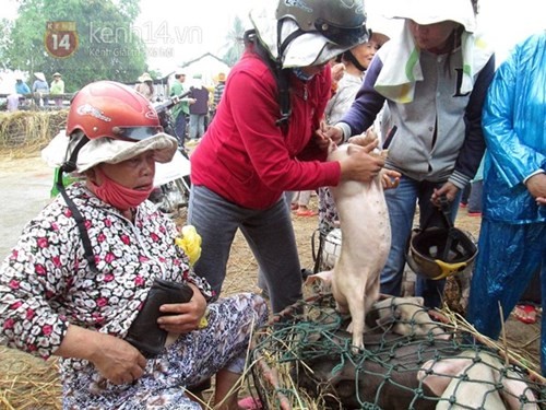 Những dịch vụ kỳ lạ ở Việt Nam - ảnh 8