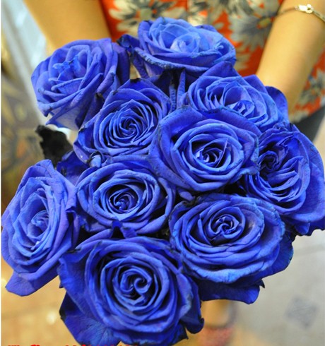 Hoa hồng xanh tiền triệu cho ngày Valentine - ảnh 1