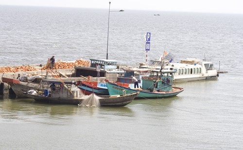 Vùng biển đảo Tây Nam: Sẵn sàng cho ngày thi tốt nghiệp - ảnh 1