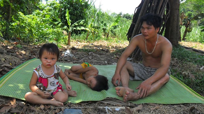 Vật vờ với nắng nóng, oi bức - ảnh 7
